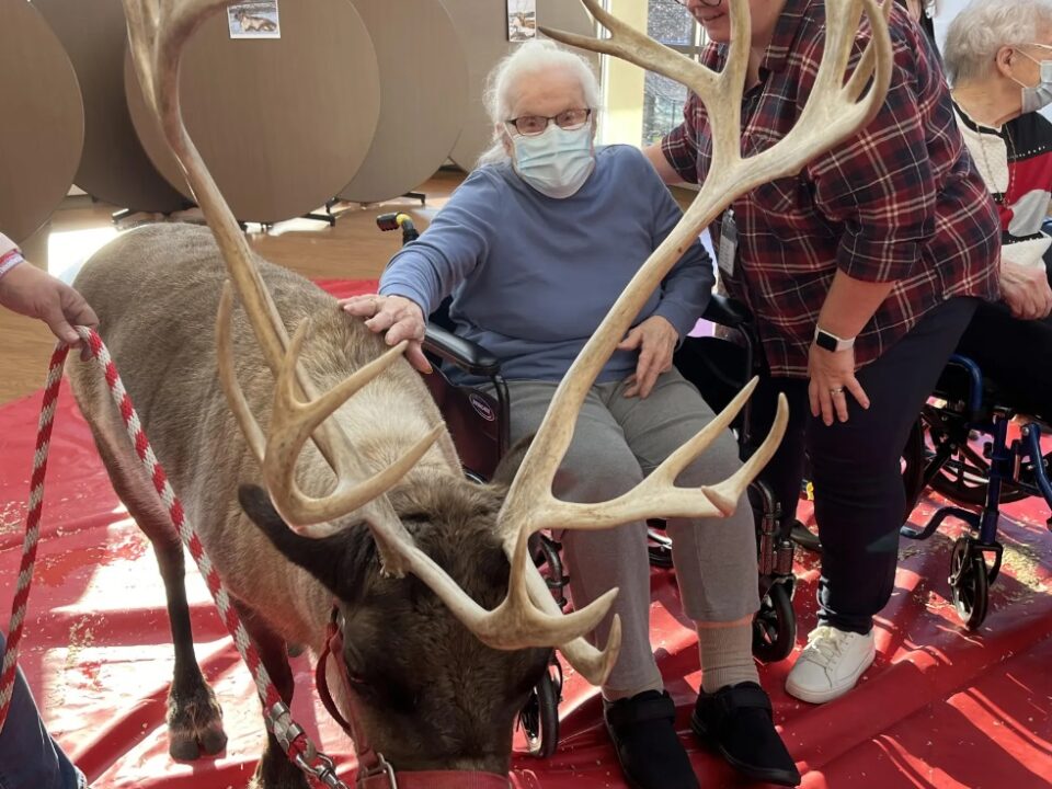 resident with reindeer at event